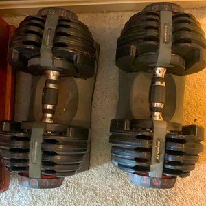 Bowflex click weights
